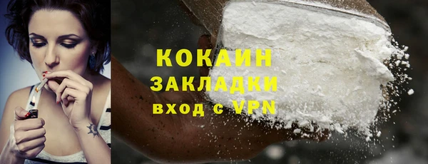 индика Надым