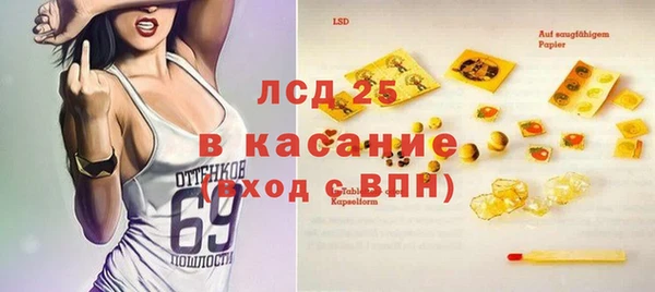 индика Надым