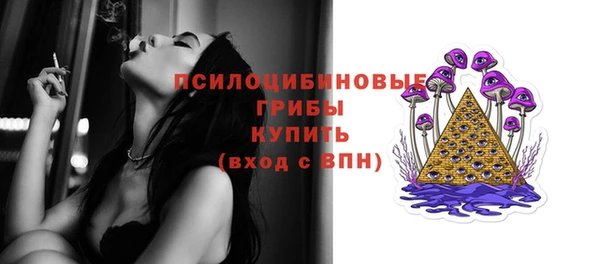 индика Надым