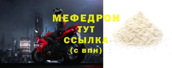 индика Надым