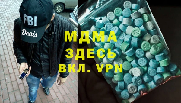 индика Надым