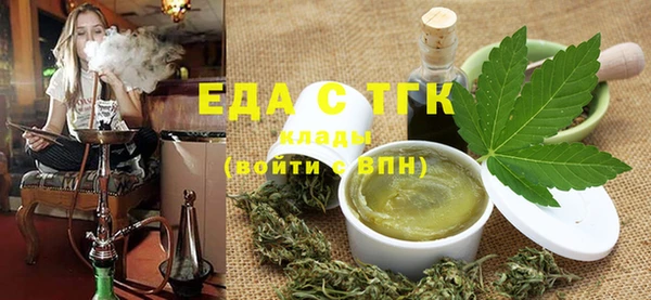 индика Надым