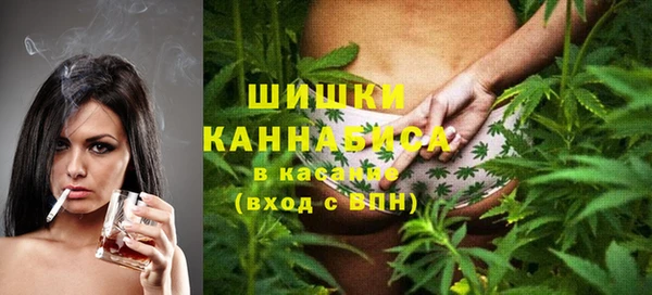 индика Надым