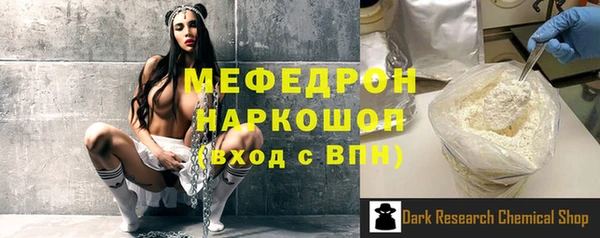 индика Надым