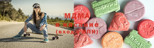 индика Надым