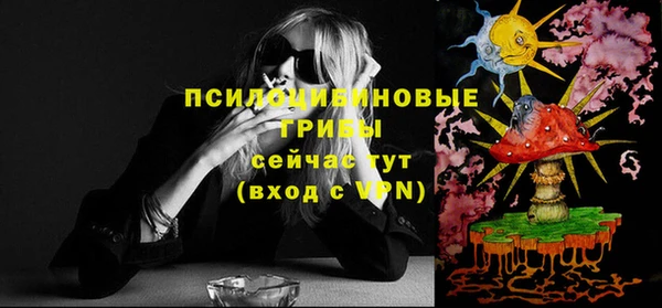 PSILOCYBIN Ахтубинск