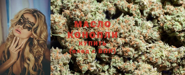 индика Надым