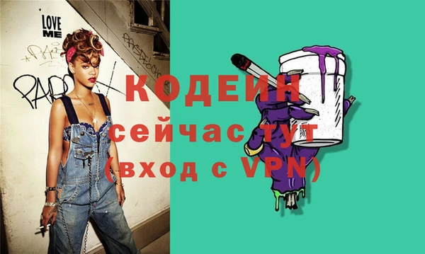 индика Надым