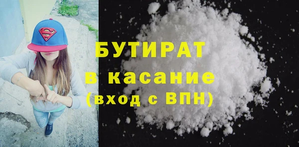 индика Надым