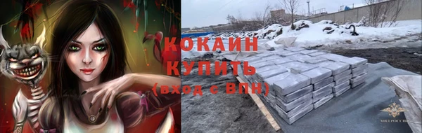 индика Надым