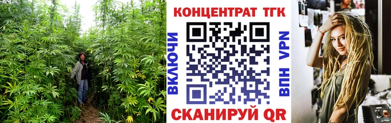 darknet формула  OMG ONION  Сегежа  где купить   ТГК вейп с тгк 