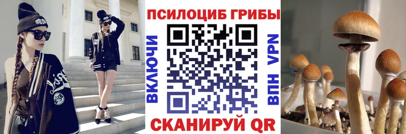 Галлюциногенные грибы Psilocybe  хочу наркоту  Сегежа 