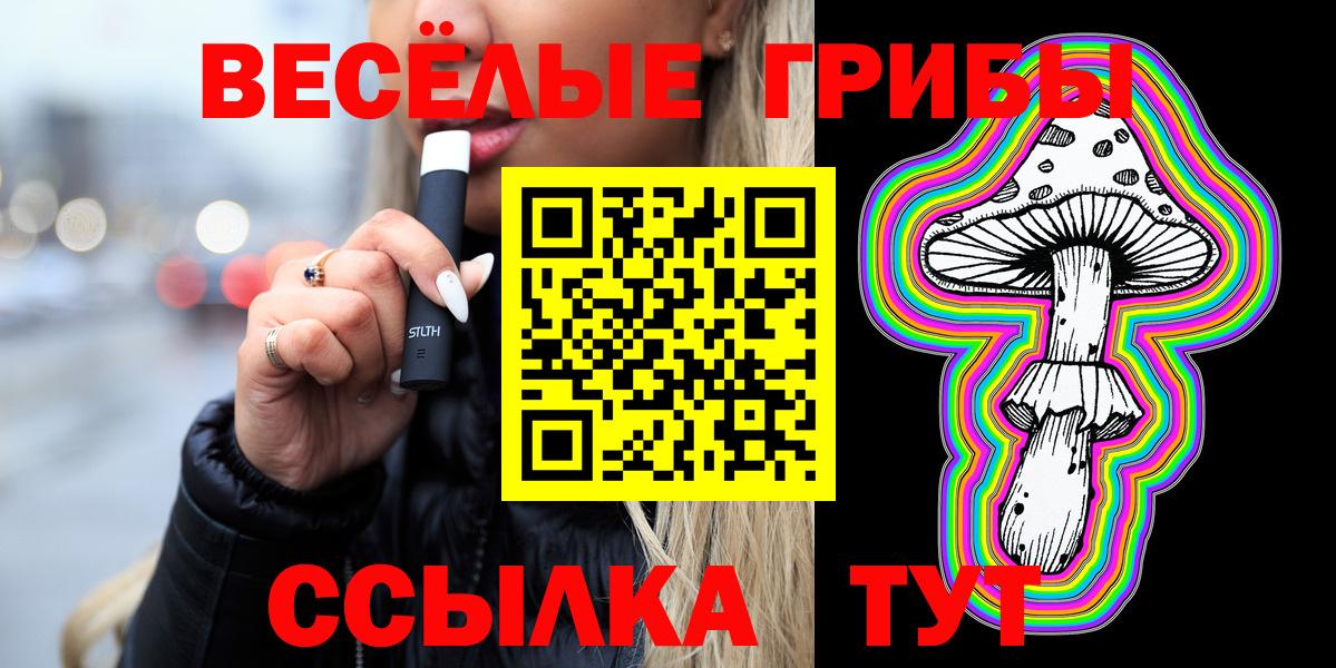 Галлюциногенные грибы Psilocybe Сегежа