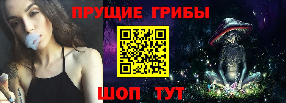 Сегежа  Псилоцибиновые грибы Cubensis  Вход с VPN 